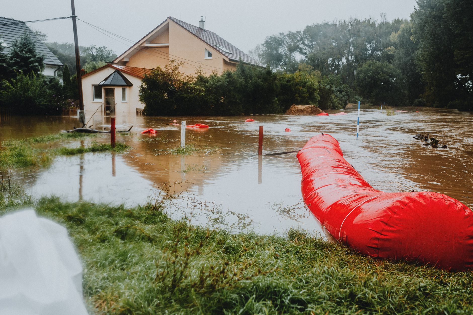 réparation dégât des eaux Torcy